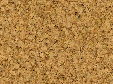 Turf ground texture (ID:ffaaf5237)