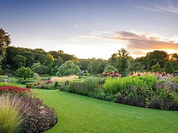 Wild Scenery texture (ID:ffach607673)