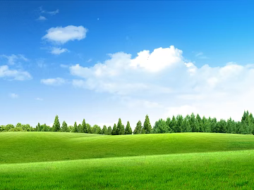 Wild Scenery texture (ID:ffach224710)