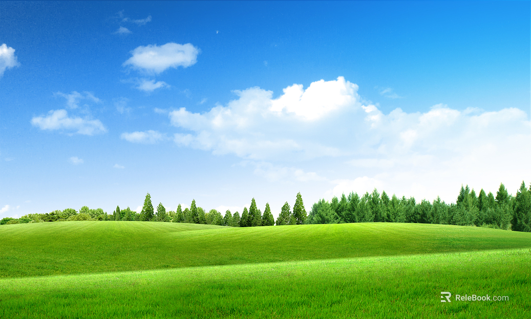 Wild Scenery texture