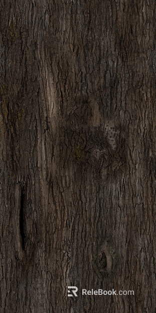 bark texture