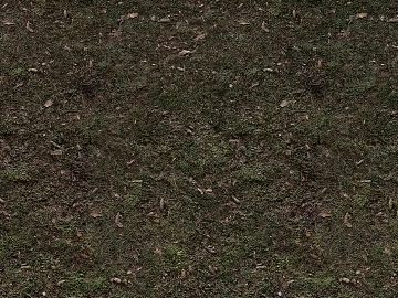 Turf texture (ID:ffach235265)