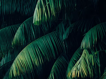 leaves texture (ID:ffaeg69303)