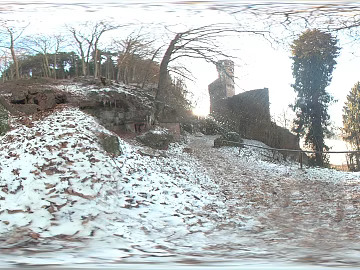 Outdoor Winter Woods Daytime HDR texture (ID:ffabg90381)