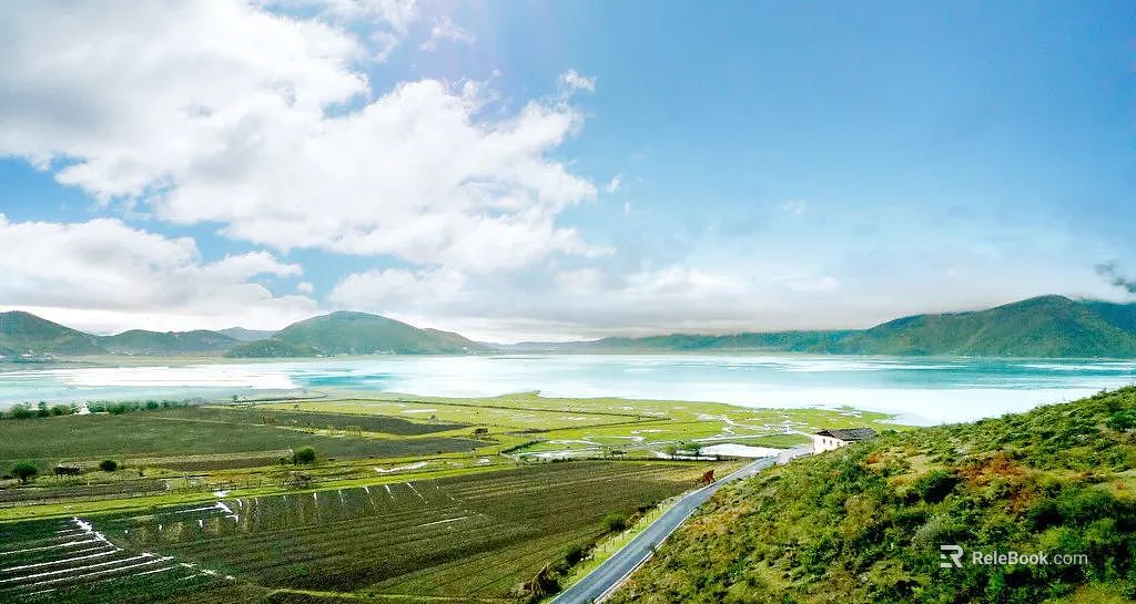 Wild Scenery texture