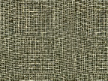 plain cloth texture (ID:ffaag65310)