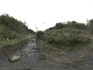 HDR daytime environment day environment forest gray path vegetation texture (ID:ffach134308)