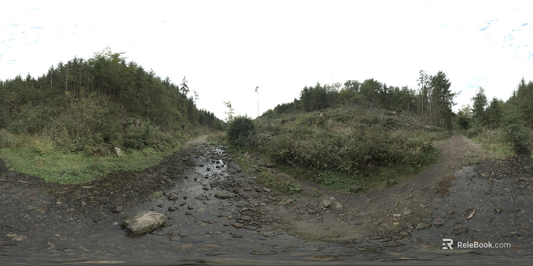 HDR daytime environment day environment forest gray path vegetation texture