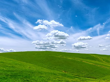 Beautiful prairie texture (ID:ffach099980)