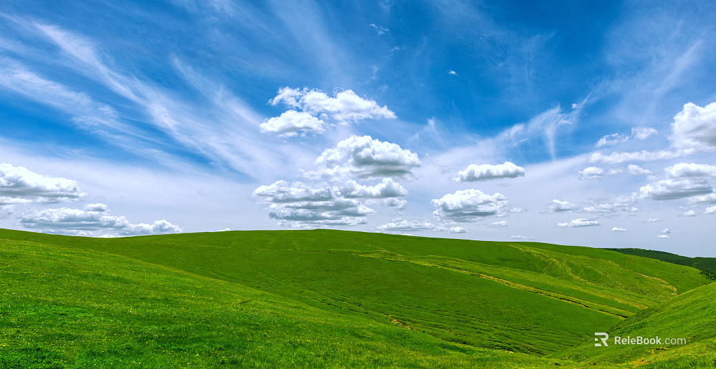 Beautiful prairie texture