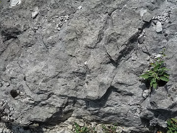 mountain rock wall texture (ID:ffaeg75443)
