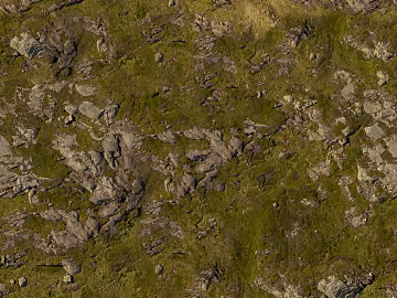 moss texture (ID:ffajg12294)