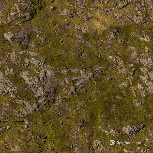 moss texture