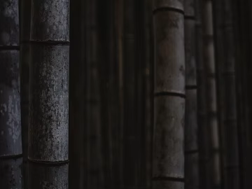 Bamboo texture (ID:ffagg52673)