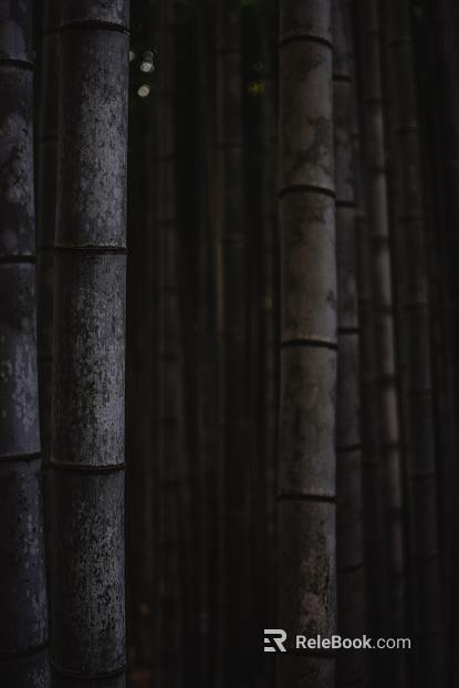 Bamboo texture