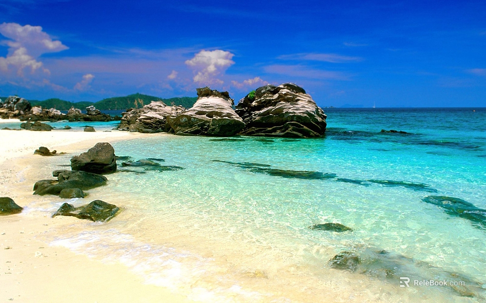 Wild Scenery texture