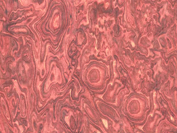 Staining Tumors Wood Bark Tumors Technology Wood Bark Pink Staining Wood Bark texture (ID:ffaeh972274)