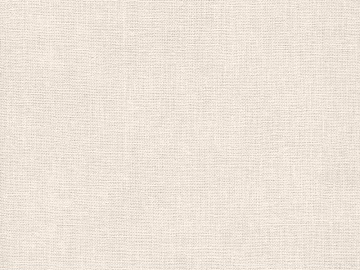 plain cloth texture (ID:ffagg34621)