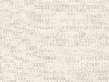 plain cloth texture (ID:ffagg34621)