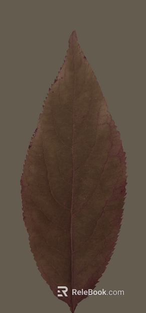 Maroon leaves natural decoration material texture