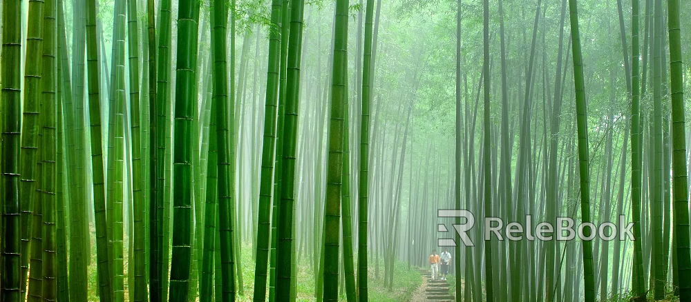 Bamboo texture