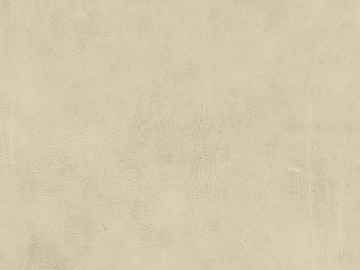 fine grain leather texture (ID:ffajg29667)