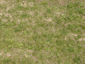 Grassland texture (ID:ffaif3827)