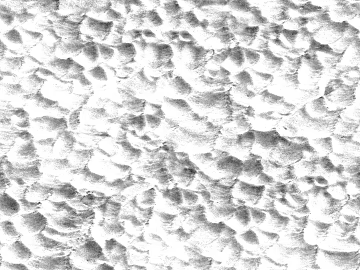 Black and White Bump texture (ID:ffabg76414)