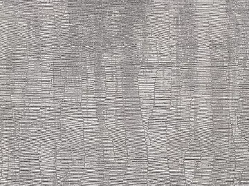 Plain pattern carpet texture (ID:ffacg20502)