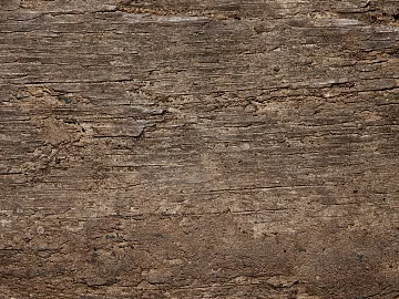 bark texture (ID:ffabg43161)