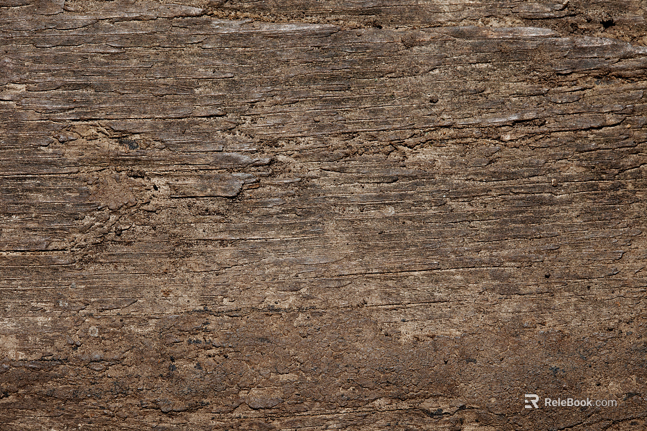bark texture