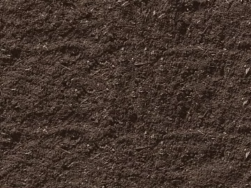 Mud texture (ID:ffaff7837)