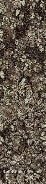 Gray brown with moss bark natural decorative surface texture