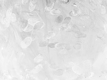 Fingerprint texture (ID:ffajg91500)