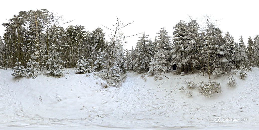 Outdoor Winter Snow Forest Day HDR texture