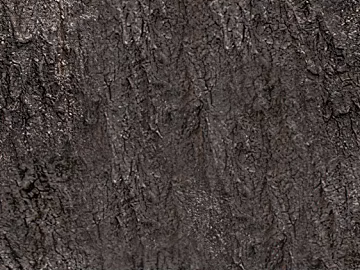 bark texture (ID:ffacg74101)