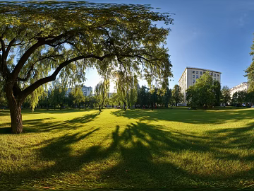 hdr blue sky white clouds lawn forest landscape texture (ID:ffach064738)