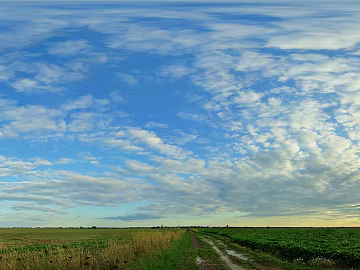 daytime sky texture (ID:ffabf8733)