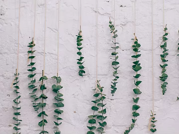 Plants texture (ID:ffagg42058)