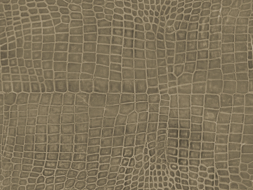 Coarse-grain leather texture (ID:ffaef8323)