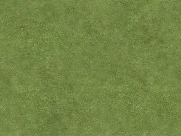 Turf texture (ID:ffagg85780)