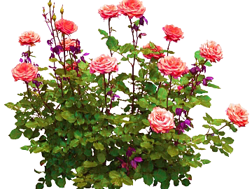 Flowers texture (ID:ffacg37058)