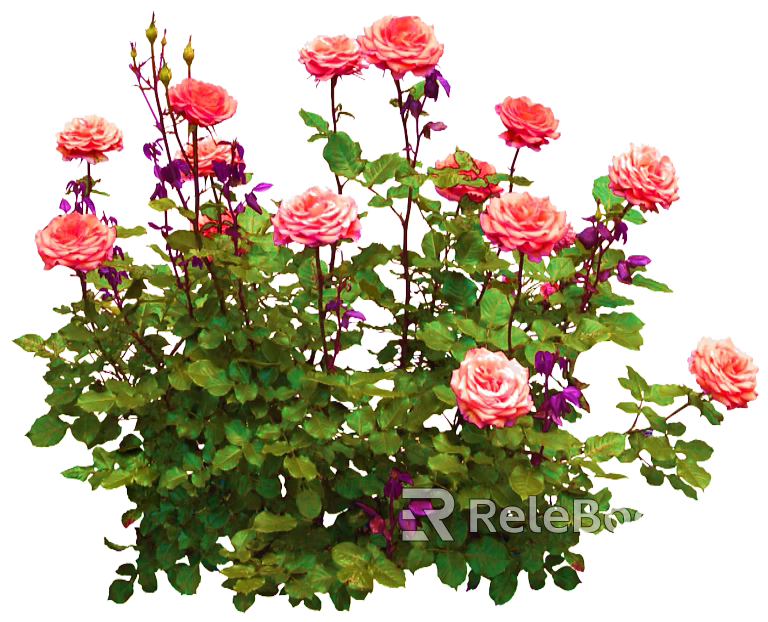 Flowers texture