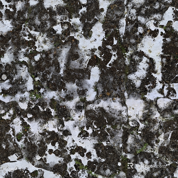 Snow texture