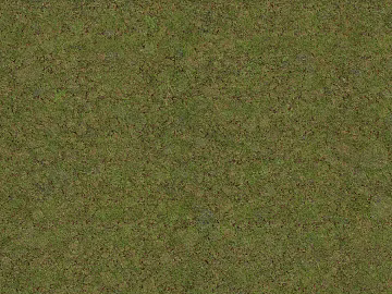 Modern Small Grassland texture (ID:ffach610843)