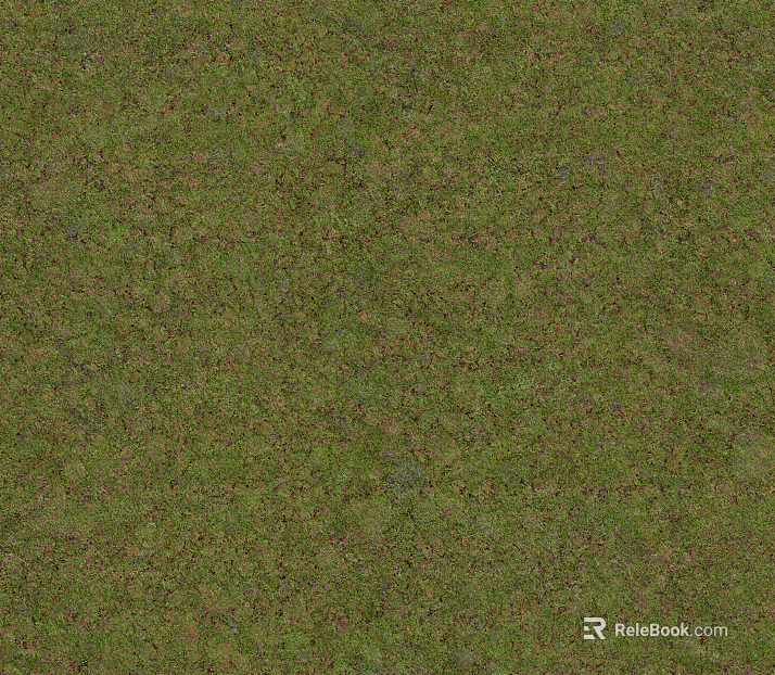 Modern Small Grassland texture