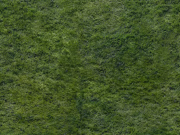 Turf texture (ID:ffagg15704)