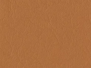 Brown leather 3d model