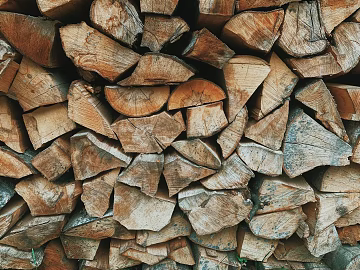 Trunk section texture (ID:ffagg55208)