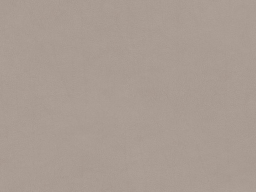 fine grain leather texture (ID:ffaag83337)